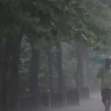 Jakarta dan Semarang Masuk Daftar, BMKG Ungkap Deretan Wilayah RI yang Bakal Diguyur Hujan Hari Ini