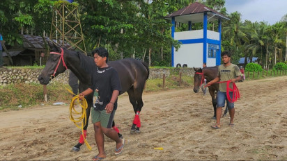Libur Lebaran, Pacu Kuda Padang Pariaman Siap Digelar: 122 Kuda Berebut Hadiah Rp285 Juta