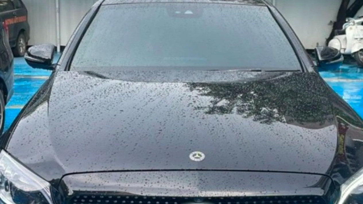 Sekelompok Debt Collector Cegat Pengemudi Mobil Mercedes Benz di Jakarta Utara, Polisi: Modus Tuduh Belum Bayar Cicilan Empat Bulan
            - galeri foto