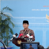 Alarm Kepunahan Gajah Indonesia, Prabowo Siapkan Inpres Khusus dan Bangun Koridor Habitat