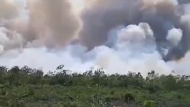 Kabut Asap Karhutla Tutupi Jalan Lintas Riau-Sumut, Pemudik Keluhkan Jarak Pandang