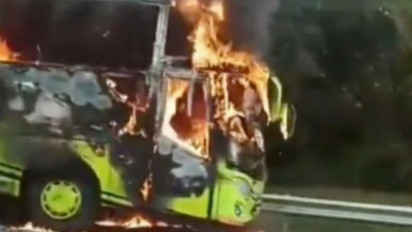Bus Pariwisata Ludes Dilalap Api di Tol Cipali KM 95