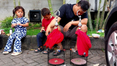 Mudik 630 Kilometer, Pemudik Ini Ajak Dua Burung Kesayangannya Pulang Kampung