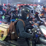 Pucul Putuskan Ajak "Pupu" Kesayangannya Seberangi Pulau, Inilah Cerita Pemudik Asal Tangerang Bawa Kucing saat Mudik