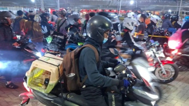 Pucul Putuskan Ajak "Pupu" Kesayangannya Seberangi Pulau, Inilah Cerita Pemudik Asal Tangerang Bawa Kucing saat Mudik