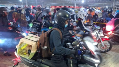 Pucul Putuskan Ajak "Pupu" Kesayangannya Seberangi Pulau, Inilah Cerita Pemudik Asal Tangerang Bawa Kucing saat Mudik