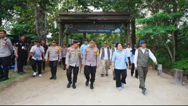 Kapolri-Titiek Soeharto Tinjau Tesso Nilo, Pastikan Konservasi Gajah Aman