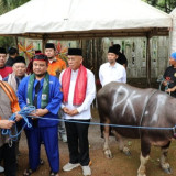 Pramono Minta Tradisi Andilan Kebo Budaya Betawi Tetap Hidup