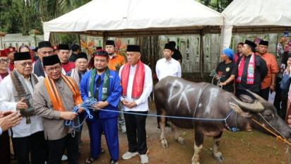 Pramono Minta Tradisi Andilan Kebo Budaya Betawi Tetap Hidup
