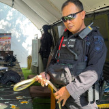 Heboh Ular Masuk ke Posko Mudik di Tol Kalikangkung Semarang