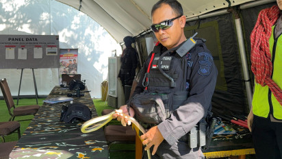 Heboh Ular Sepanjang 1,5 Meter Masuk ke Posko Mudik di Tol Kalikangkung Semarang