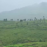 Catat, 7 Rekomendasi Objek Wisata Alam di Puncak yang Tepat Dikunjungi Saat Libur Lebaran