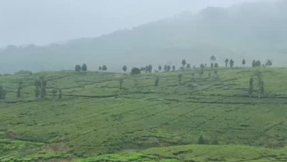 Catat, 7 Rekomendasi Objek Wisata Alam di Puncak yang Tepat Dikunjungi Saat Libur Lebaran