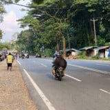 Cerita Jalur Mudik di Pantura yang Nyaris Lenyap Ditinggal Pemudik Lebaran