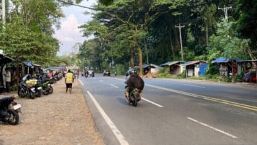 Cerita Jalur Mudik di Pantura yang Nyaris Lenyap Ditinggal Pemudik Lebaran
