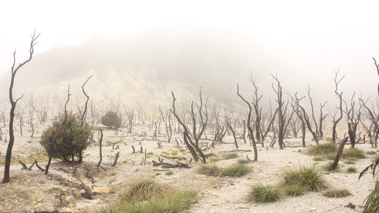 Libur Lebaran Seru di Swiss van Java, Gunung yang Tertidur 24 Tahun Ramah Jadi Tempat Wisata Alam Keluarga
            - galeri foto