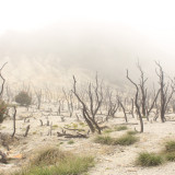 Libur Lebaran Seru di Swiss van Java, Gunung yang Tertidur 24 Tahun Ramah Jadi Tempat Wisata Alam Keluarga