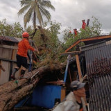BNPB Ungkap Banjir dan Cuaca Ekstrem Terjang Sejumlah Wilayah Saat Idul Fitri 1447 H