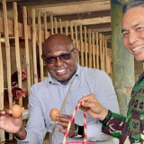 Pembangunan Papua Jadi Perhatian, Infrastruktur hingga Pendidikan Terus Didorong