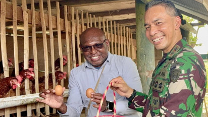 TNI Sulap Lahan Tidur hingga Peternakan Ayam, Papua Didorong Jadi Lumbung Pangan Nasional