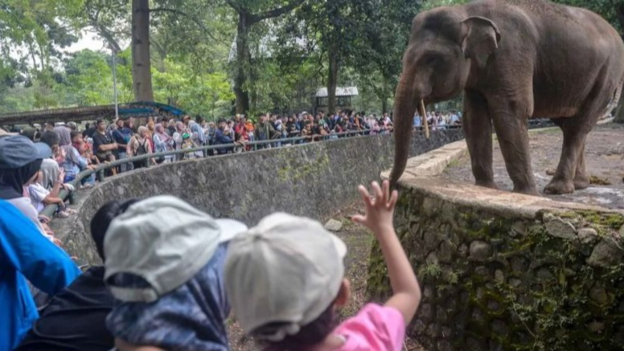 H+2 Lebaran, Pengunjung Ragunan Membeludak Hingga Tembus 80 Ribu Orang
            - galeri foto