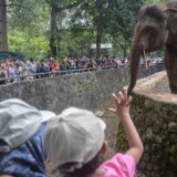 H+2 Lebaran, Pengunjung Ragunan Membeludak Hingga Tembus 80 Ribu Orang
