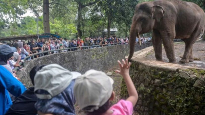 H+2 Lebaran, Pengunjung Ragunan Membeludak Hingga Tembus 80 Ribu Orang