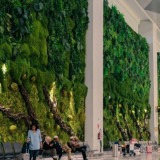 Bandara Soekarno-Hatta Masuk Daftar 22 Besar Bandara Terbaik Dunia, Ungguli Capaian Tahun Lalu