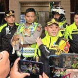 Bukan Polisi Biasa, Sosok Berbulu di Jalur Puncak Bogor Ini Sukses Curi Perhatian Wisatawan