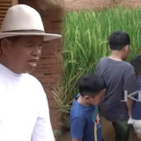 Kesederhanaan Dedi Mulyadi Nikmati Suasana Libur Lebaran, Ajak Bocil Tangkap Ikan dan Main Lumpur di Sawah