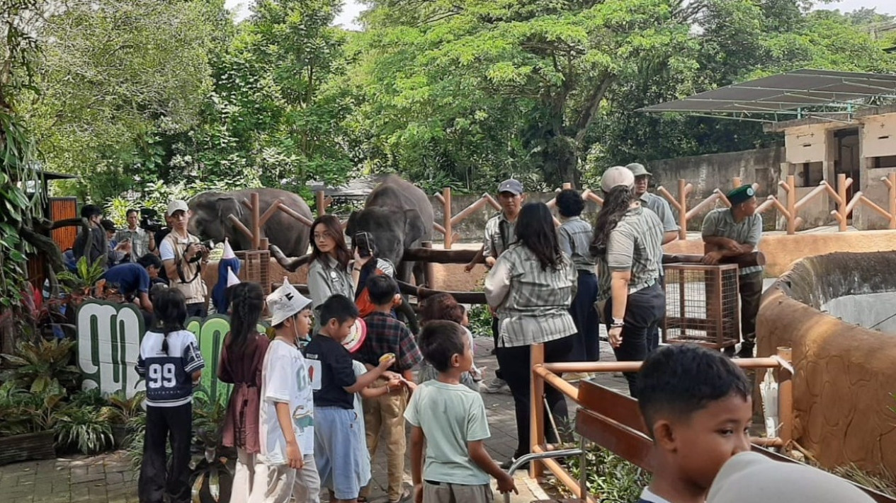 Sebanyak 11 Ribu Wisatawan Menikmati Puncak ​Libur Lebaran di Gembira Loka Zoo Yogyakarta
            - galeri foto