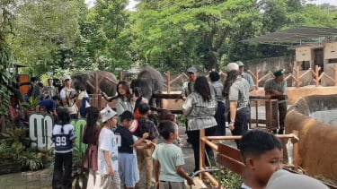 Sebanyak 11 Ribu Wisatawan Menikmati Puncak ​Libur Lebaran di Gembira Loka Zoo Yogyakarta