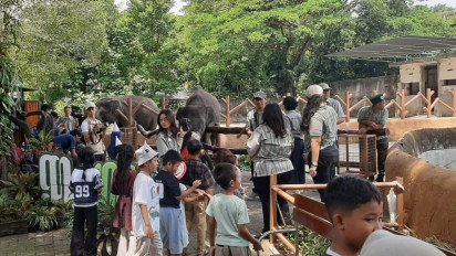 Sebanyak 11 Ribu Wisatawan Menikmati Puncak ​Libur Lebaran di Gembira Loka Zoo Yogyakarta