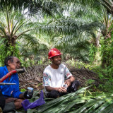 Komitmen Kesetaraan Gender di Dunia Kerja, Perempuan Kian Diperkuat dalam Industri Sawit