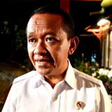 Pemerintah Tambah 13 Item Hilirisasi, Total Investasi Sekitar Rp239 Triliun