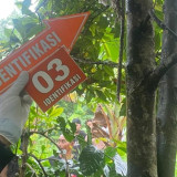 Cekcok Rumah Tangga Berujung Maut, Pria Asal Gunungwungkal Pati Ditemukan Tewas di Kebun Cengkeh