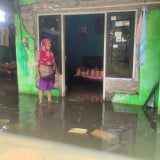 Danau Rawapening Meluap, Banjir Rendam Permukiman dan Puluhan Hektar Sawah di Rowosari Tuntang
