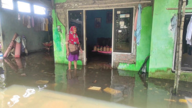 Danau Rawapening Meluap, Banjir Rendam Permukiman dan Puluhan Hektar Sawah di Rowosari Tuntang
