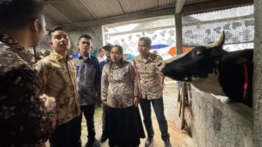 Gibran Tinjau Peternakan Sapi di Boyolali, Dorong Ada Hilirisasi Industri