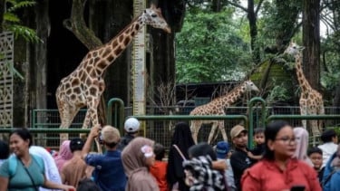 Wisatawan Ragunan Tembus 353 Ribu Orang Selama Libur Lebaran 2026