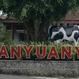 Intip Kisah Desa Banyuanyar, Desa Ramah Lingkungan yang Terus Maju Lewat Pemberdayaan Desa BRILiaN