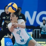 Final Four Proliga 2026: Jakarta Electric PLN Resmi Akhiri Kontrak Celeste Plak