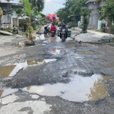 Protes Tak Kunjung Diperbaiki, Warga Tanam Pohon Pisang di Jalan Rusak Menuju RSUD Kayen Pati