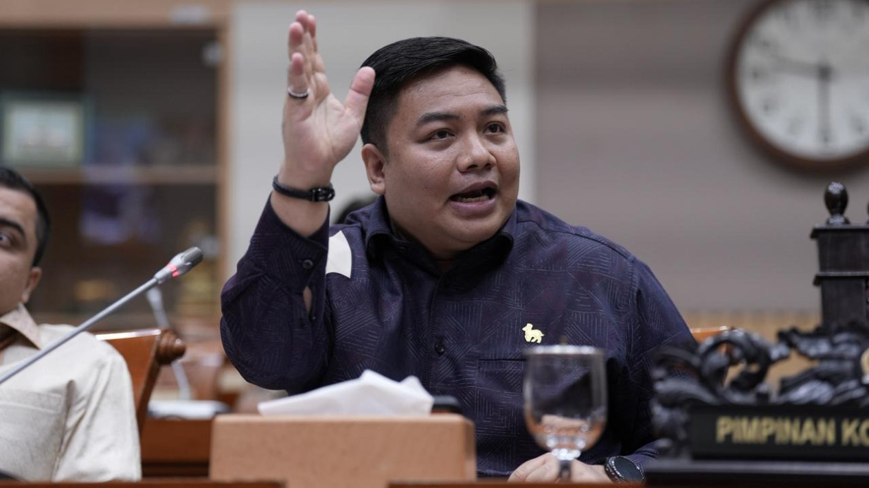 RDPU di Komisi III DPR RI, Ketum Gekrafs Minta Amsal Sitepu Dibebaskan
            - galeri foto