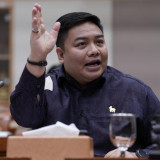 RDPU di Komisi III DPR RI, Ketum Gekrafs Minta Amsal Sitepu Dibebaskan