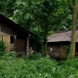 Ada di Jawa Timur, Kertoembo Jadi Kampung Terpencil Cuma Terpapar Sinar Matahari 5 Jam di Lembah Gunung Wilis