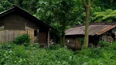 Ada di Jawa Timur, Kertoembo Jadi Kampung Terpencil Cuma Terpapar Sinar Matahari 5 Jam di Lembah Gunung Wilis