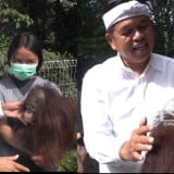 Ada Kabar Gembira, Gubernur Dedi Mulyadi Pastikan Masalah Kebun Binatang Bandung 90 Persen Selesai