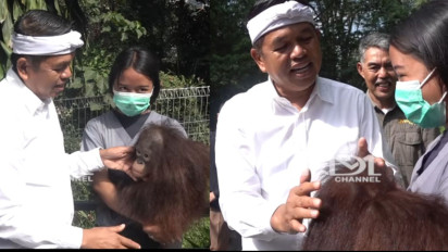 Ada Kabar Gembira, Gubernur Dedi Mulyadi Pastikan Masalah Kebun Binatang Bandung 90 Persen Selesai