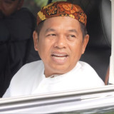 Kabar Bahagia untuk Pekerja Kebun Binatang, Gubernur Dedi Mulyadi Siap Cairkan Gaji yang Tertunda